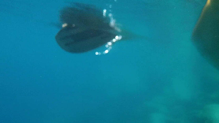 2015 - Kayakeando en los lagos del Parque Nacional Lanín